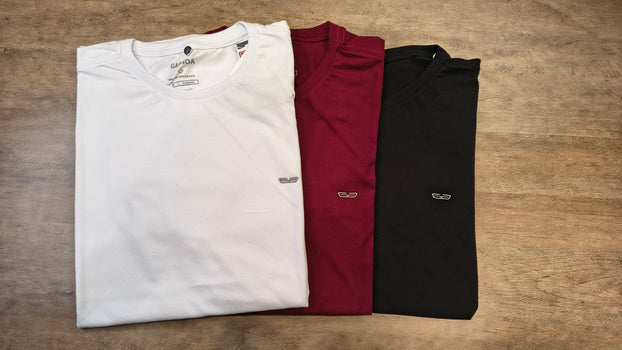Camiseta Polo e Regata
